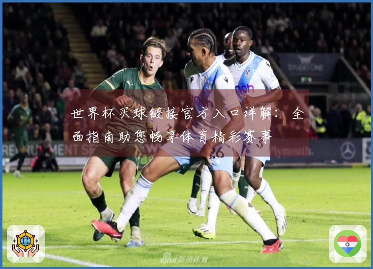 世界杯买球链接官方入口详解：全面指南助您畅享体育精彩赛事