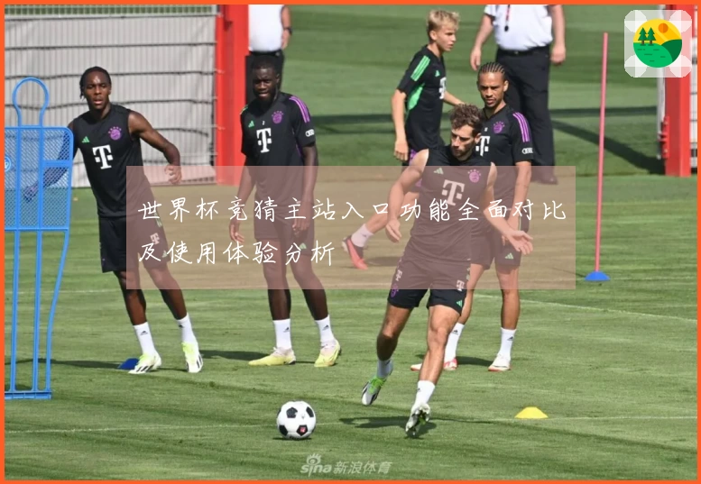 世界杯竞猜主站入口功能全面对比及使用体验分析