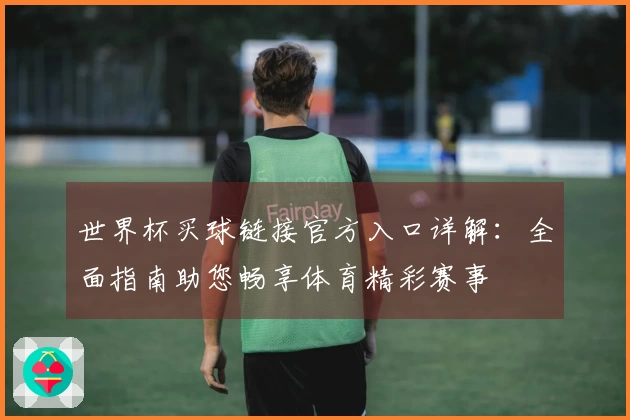 世界杯买球链接官方入口详解：全面指南助您畅享体育精彩赛事