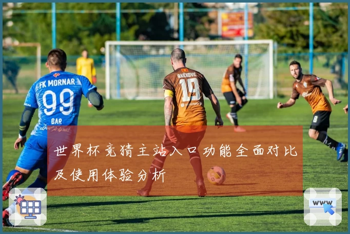 世界杯竞猜主站入口功能全面对比及使用体验分析