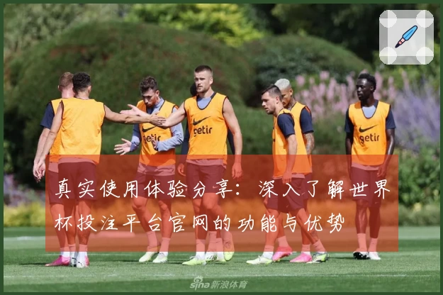真实使用体验分享：深入了解世界杯投注平台官网的功能与优势