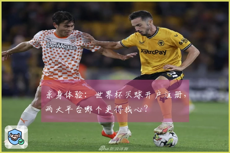 亲身体验：世界杯买球开户注册，两大平台哪个更得我心？