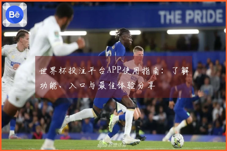 世界杯投注平台APP使用指南：了解功能、入口与最佳体验分享