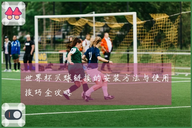 世界杯买球链接的安装方法与使用技巧全攻略