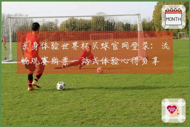 亲身体验世界杯买球官网登录：流畅观赛购票一站式体验心得分享